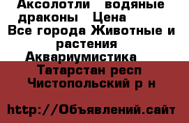 Аксолотли / водяные драконы › Цена ­ 500 - Все города Животные и растения » Аквариумистика   . Татарстан респ.,Чистопольский р-н